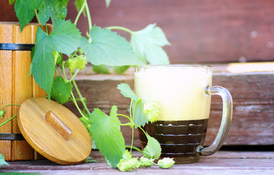 Similar image 13275773