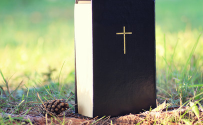 Similar image 13275848