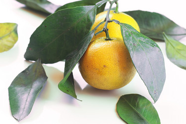 Similar image 13276447