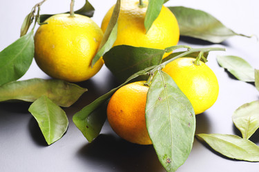 Similar image 13278004