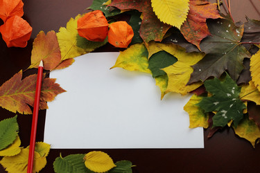 Similar image 13275812