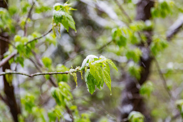 Similar image 13243533