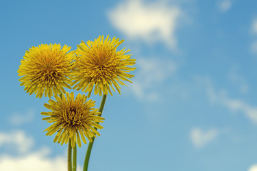 Similar image 13263715