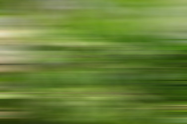 Similar image 13263736