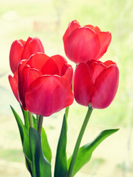 Similar image 13263766