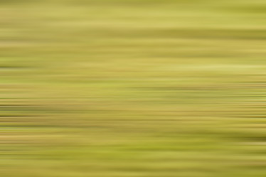 Similar image 13263767