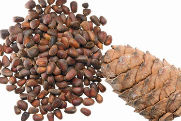 Similar image 13264825