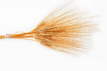 Similar image 13264828