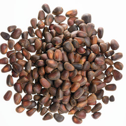 Similar image 13264843