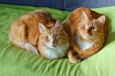 Similar image 13245173