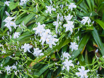 Similar image 13264139