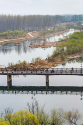 Similar image 13264159