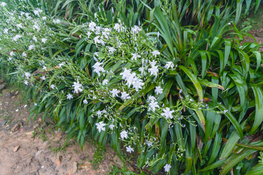 Similar image 13264146