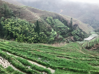 Similar image 13264152