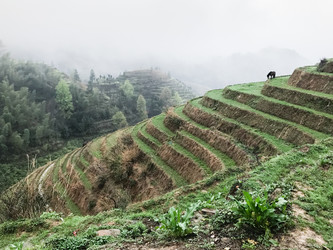 Similar image 13264153