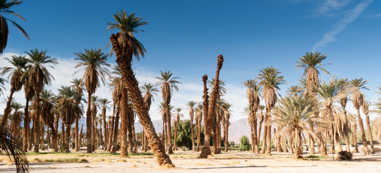 Similar image 13258828