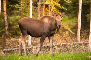 Similar image 13258604