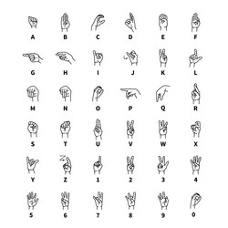 Similar image 13272548