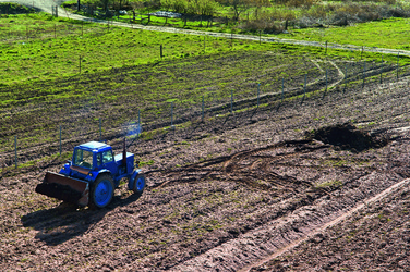 Similar image 13244683