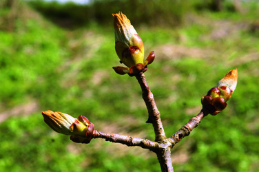 Similar image 13245385