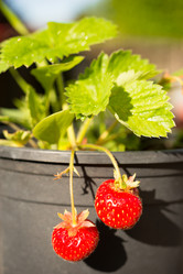 Similar image 13255169