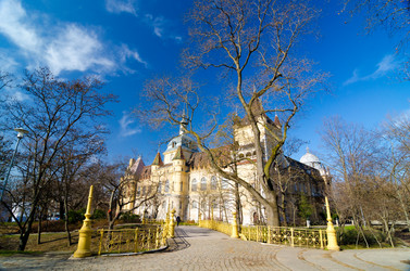 Similar image 13288560