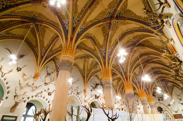 Similar image 13288646