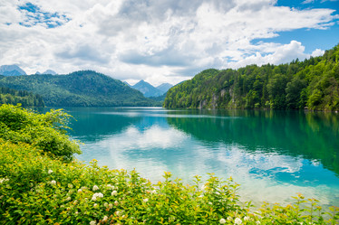 Similar image 13288732