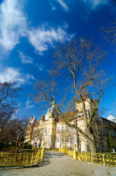 Similar image 13288664