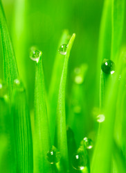 Similar image 13258670