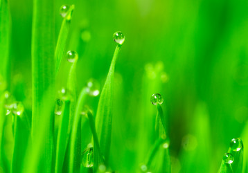 Similar image 13258671