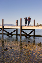 Similar image 13258883