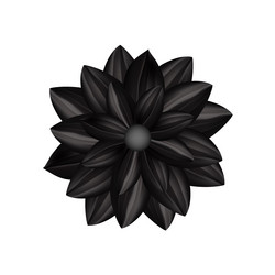 Similar image 13259216