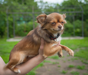 Similar image 13243283