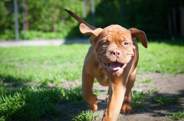 Similar image 13243284