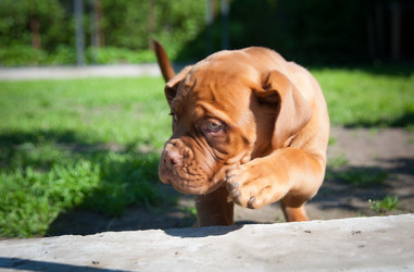 Similar image 13243285