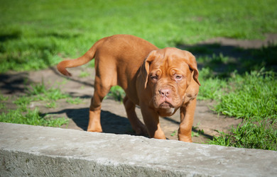 Similar image 13243293