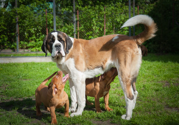 Similar image 13243289