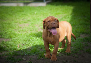 Similar image 13243290