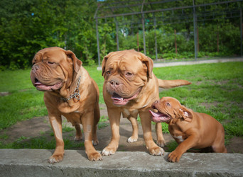 Similar image 13243297