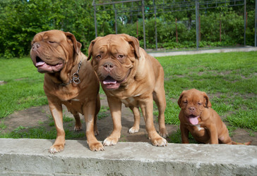 Similar image 13243312