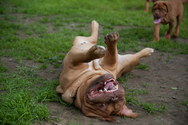 Similar image 13243315