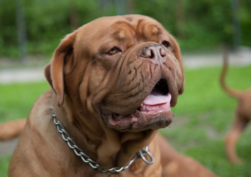 Similar image 13243298