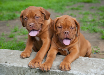 Similar image 13243316