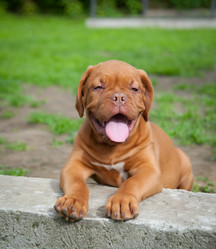 Similar image 13243240