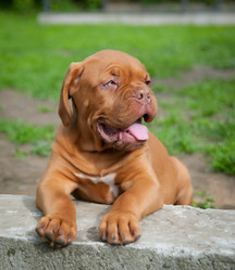 Similar image 13243294