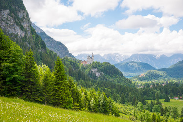 Similar image 13288239