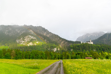 Similar image 13288302