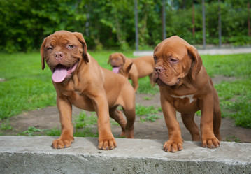 Similar image 13243318