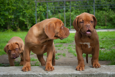 Similar image 13243319